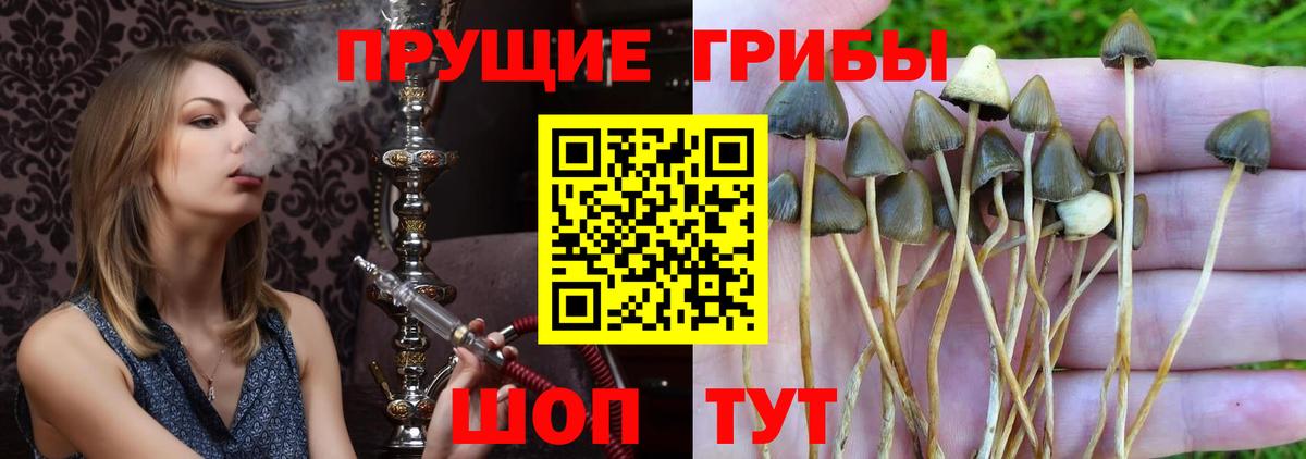 Галлюциногенные грибы мухоморы  Вход с VPN  Серов 